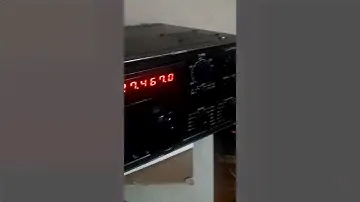 Ft 301d gringos