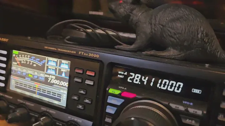 Comparing Yaesu ft ftdx3000 and ft1000mp mk5. Casual comparison